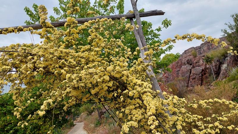 3 Bedroom Property for Sale in Citrusdal Western Cape